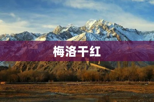 梅洛干红:醇香浓郁的红酒佳酿 梅洛干红:醇香浓郁的红酒佳酿