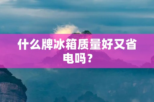 什么牌冰箱质量好又省电吗? 什么牌冰箱质量好又省电吗?