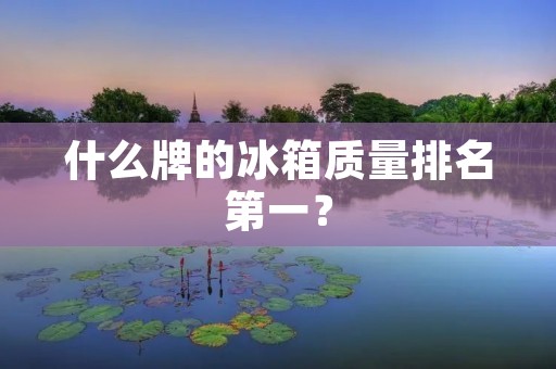 什么牌的冰箱质量排名第一? 什么牌的冰箱质量排名第一?
