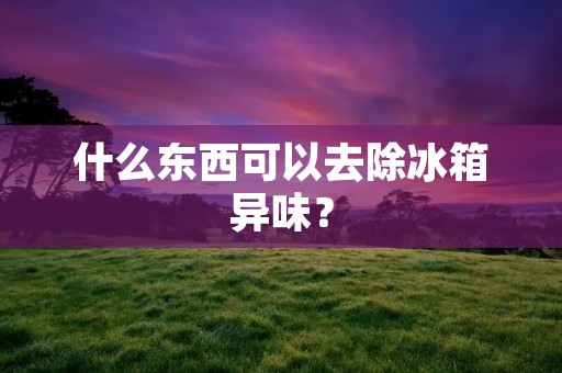 什么东西可以去除冰箱异味? 什么东西可以去除冰箱异味?