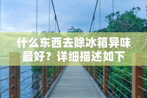 什么东西去除冰箱异味最好?详细描述如下: 什么东西去除冰箱异味最好?详细描述如下: