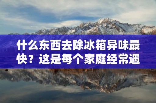 什么东西去除冰箱异味最快？这是每个家庭经常遇到的问题。冰箱是我们日常生活中必不可少的电器之一，但是由于食物的存放和保存，冰箱内部很容易产生异味。这些异味不仅会影响食物的味道，还可能对我们的健康产生负面影响。那么，有什么东西可以帮助我们快速去除冰箱异味呢？在本文中，我们将会介绍几种最有效的方法。