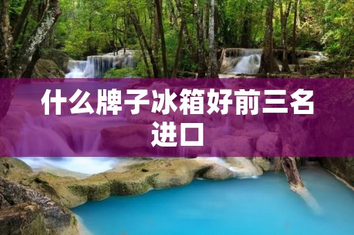什么牌子冰箱好前三名进口：选择高品质的冰箱品牌