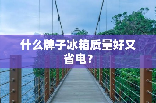 什么牌子冰箱质量好又省电？