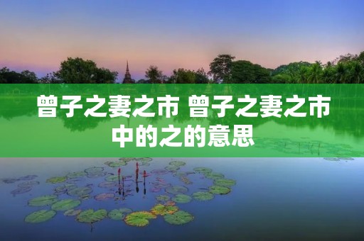 曾子之妻之市 曾子之妻之市中的之的意思