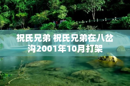 祝氏兄弟 祝氏兄弟在八岔沟2001年10月打架