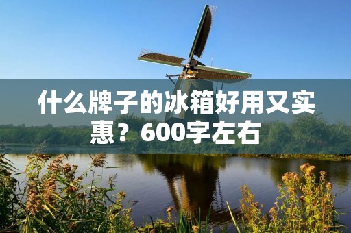 什么牌子的冰箱好用又实惠?600字左右 什么牌子的冰箱好用又实惠?600字左右