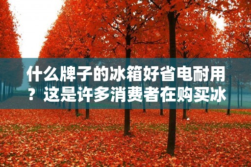 什么牌子的冰箱好省电耐用？这是许多消费者在购买冰箱时经常遇到的问题。毕竟，冰箱是家庭中最耗电的电器之一，而且它的使用寿命也直接影响到我们的生活质量。在市场上，有许多不同品牌的冰箱，每个品牌都声称自己的产品是最好的。那么，到底哪个品牌的冰箱既省电又耐用呢？本文将为您详细解答。
