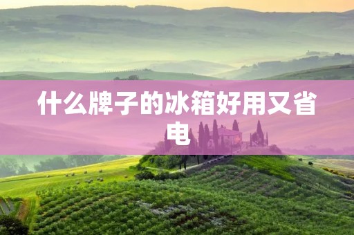什么牌子的冰箱好用又省电:详细解析 什么牌子的冰箱好用又省电:详细解析