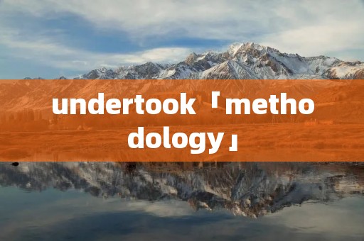 undertook「methodology」