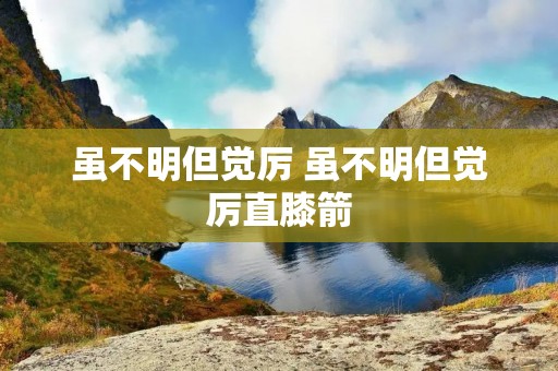 虽不明但觉厉 虽不明但觉厉直膝箭