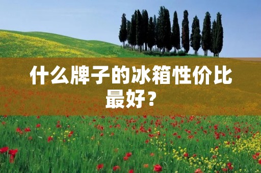 什么牌子的冰箱性价比最好？