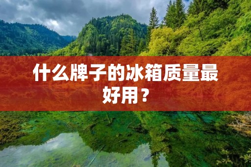 什么牌子的冰箱质量最好用? 什么牌子的冰箱质量最好用?
