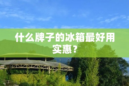 什么牌子的冰箱最好用实惠? 什么牌子的冰箱最好用实惠?