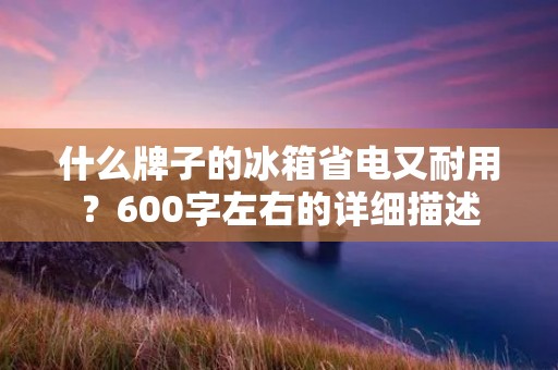 什么牌子的冰箱省电又耐用?600字左右的详细描述 什么牌子的冰箱省电又耐用?600字左右的详细描述