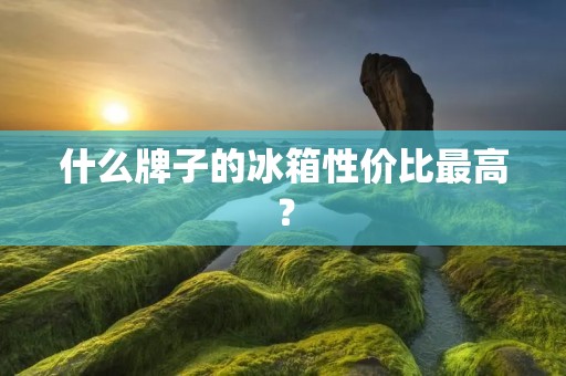 什么牌子的冰箱性价比最高? 什么牌子的冰箱性价比最高?