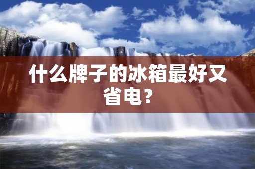 什么牌子的冰箱最好又省电？