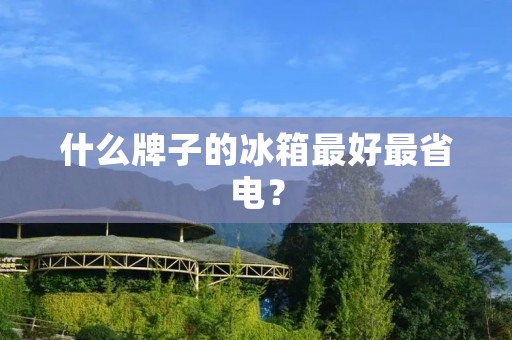 什么牌子的冰箱最好最省电? 什么牌子的冰箱最好最省电?