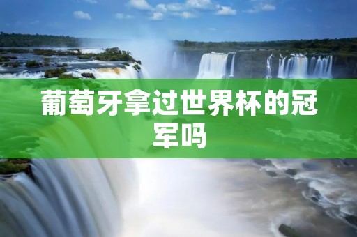 葡萄牙拿过世界杯的冠军吗 葡萄牙拿过世界杯的冠军吗