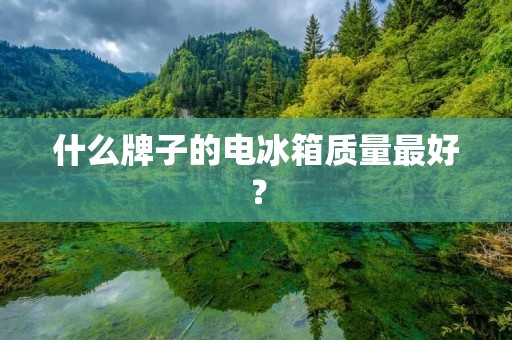 什么牌子的电冰箱质量最好? 什么牌子的电冰箱质量最好?