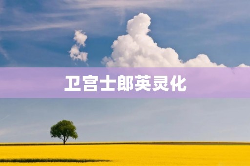 卫宫士郎英灵化：一个英雄的复苏