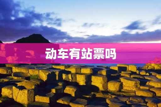 动车有站票吗 动车有站票吗
