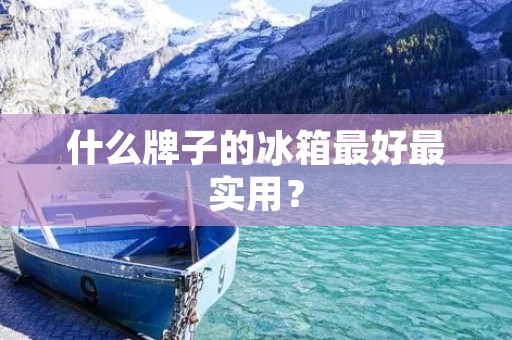 什么牌子的冰箱最好最实用? 什么牌子的冰箱最好最实用?