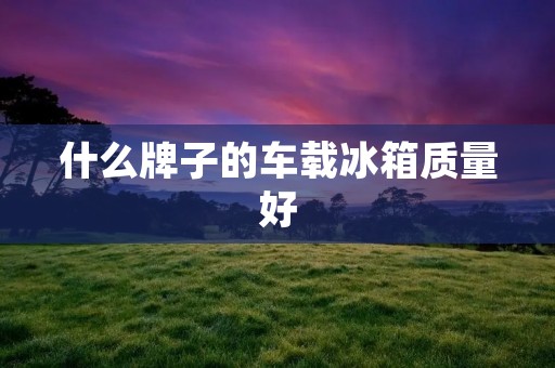 什么牌子的车载冰箱质量好 什么牌子的车载冰箱质量好