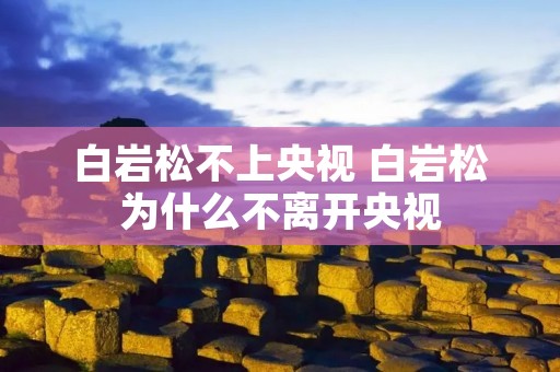 白岩松不上央视 白岩松为什么不离开央视