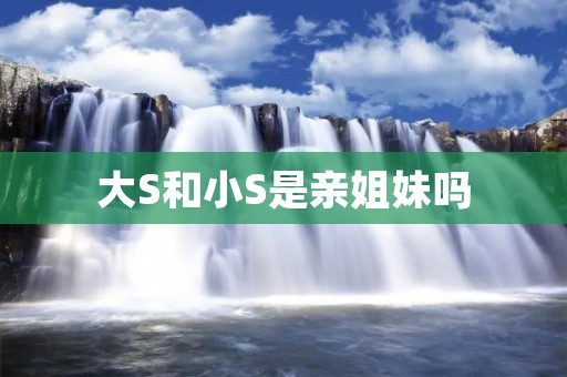 大S和小S是亲姐妹吗 大S和小S是亲姐妹吗