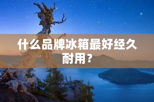 什么品牌冰箱最好经久耐用? 什么品牌冰箱最好经久耐用?