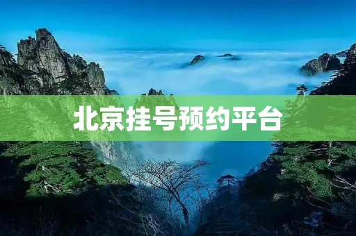 北京挂号预约平台:让医疗服务更加便捷高效 北京挂号预约平台:让医疗服务更加便捷高效