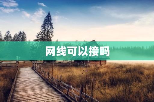网线可以接吗