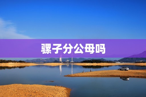骡子分公母吗