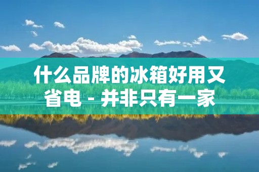 什么品牌的冰箱好用又省电 - 并非只有一家 什么品牌的冰箱好用又省电 - 并非只有一家