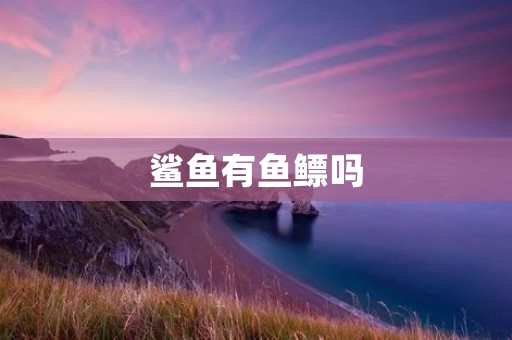 鲨鱼有鱼鳔吗