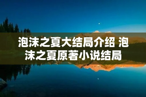 泡沫之夏大结局介绍 泡沫之夏原著小说结局