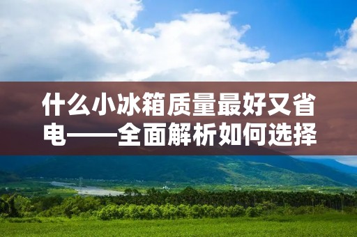 什么小冰箱质量最好又省电——全面解析如何选择节能高效的小型冰箱 什么小冰箱质量最好又省电——全面解析如何选择节能高效的小型冰箱
