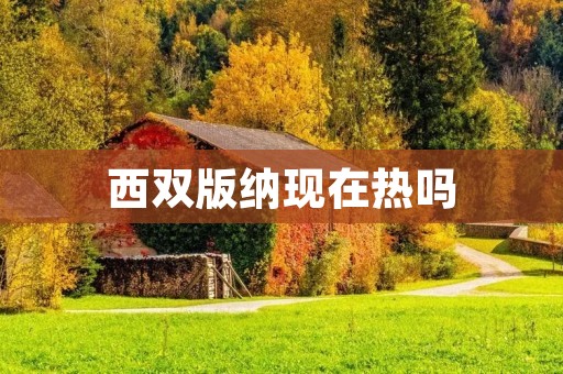 西双版纳现在热吗 西双版纳现在热吗