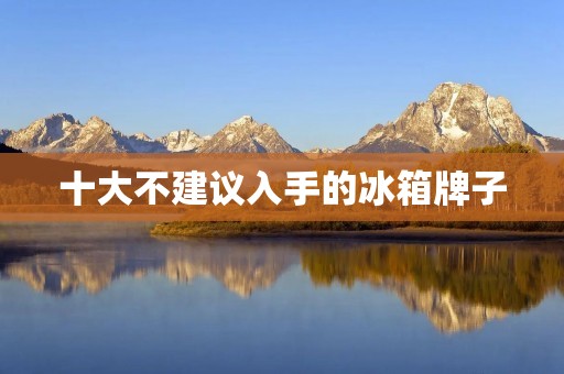 十大不建议入手的冰箱牌子 十大不建议入手的冰箱牌子