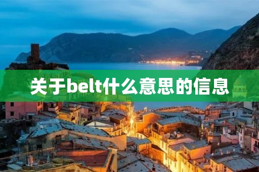 关于belt什么意思的信息