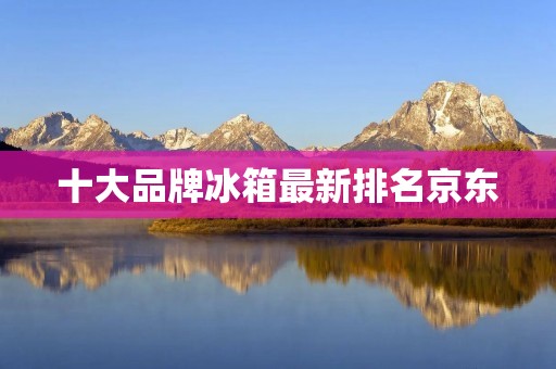 十大品牌冰箱最新排名京东：为您揭秘最值得购买的冰箱品牌