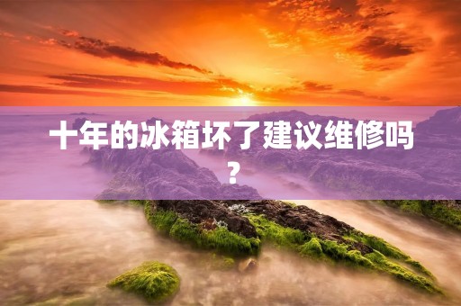 十年的冰箱坏了建议维修吗? 十年的冰箱坏了建议维修吗?