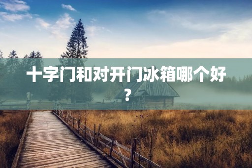 十字门和对开门冰箱哪个好？