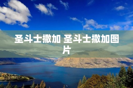 圣斗士撒加 圣斗士撒加图片