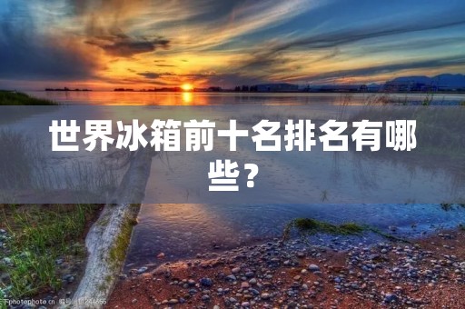 世界冰箱前十名排名有哪些？