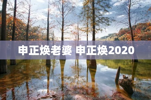 申正焕老婆 申正焕2020