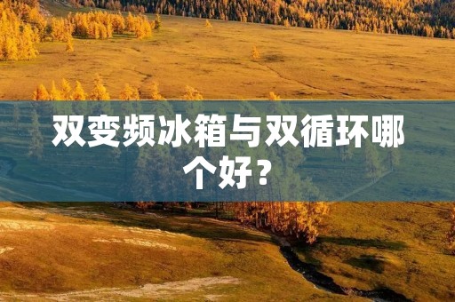 双变频冰箱与双循环哪个好？