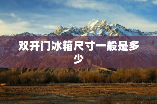 **门冰箱尺寸一般是多少