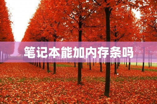 笔记本能加内存条吗 笔记本能加内存条吗